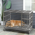 Cage pour chien Bossin 48/38 pouces, robuste et indestructible, cage anti-évasion avec roues verrouillables