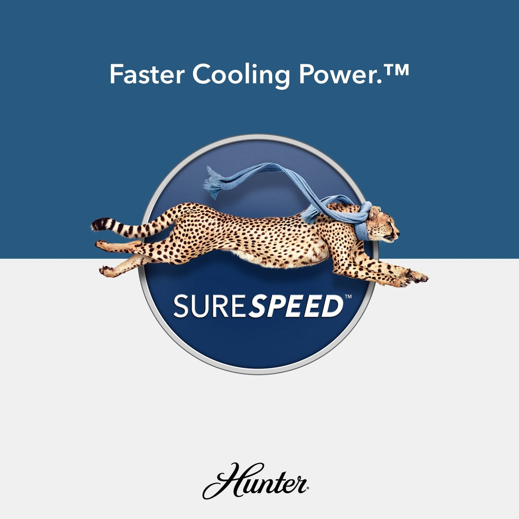 Ventilateur de plafond intérieur/extérieur Hunter 52 Shorebreak WeatherMax avec commande murale - Résistant aux intempéries, au sel et à la corrosion